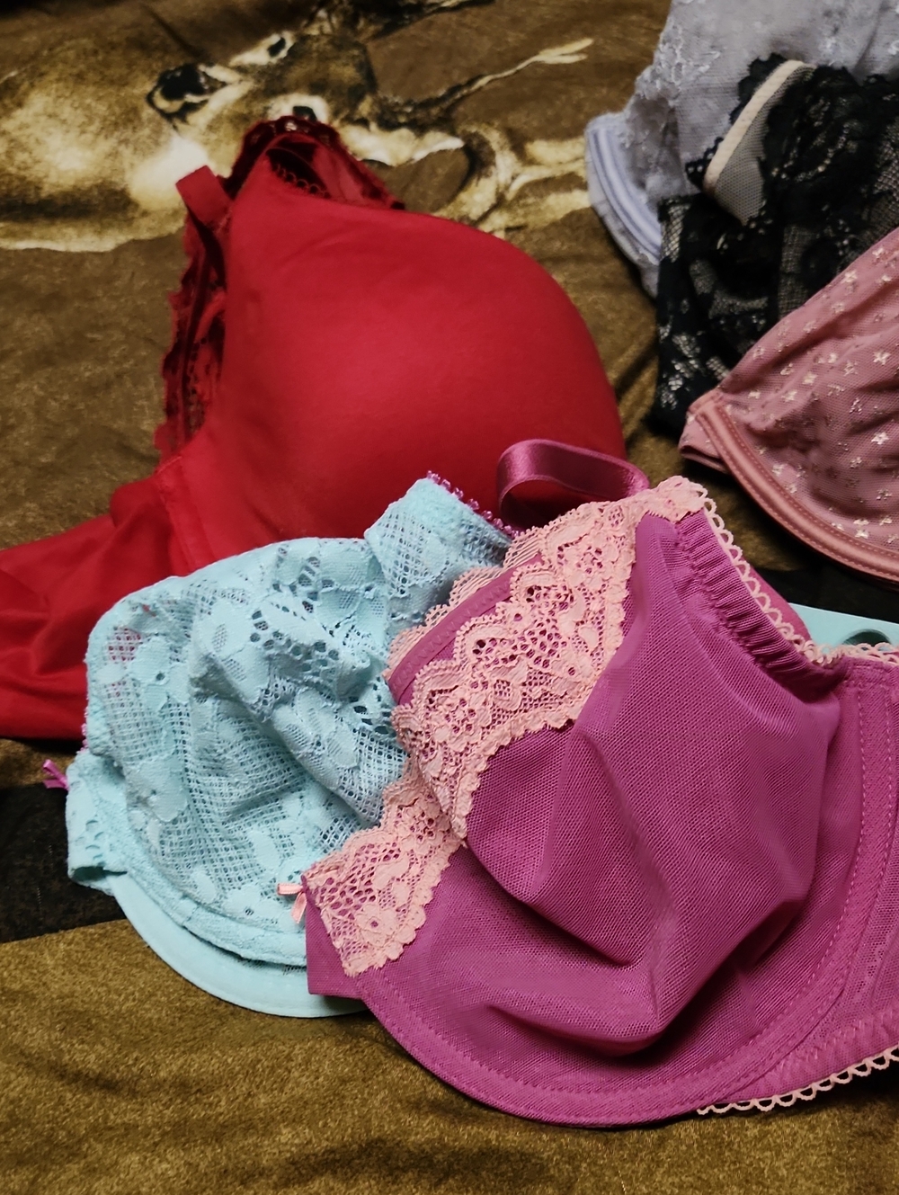Women's VS Lace Trim Bra Set - Fuchsia, Red & Light Blue